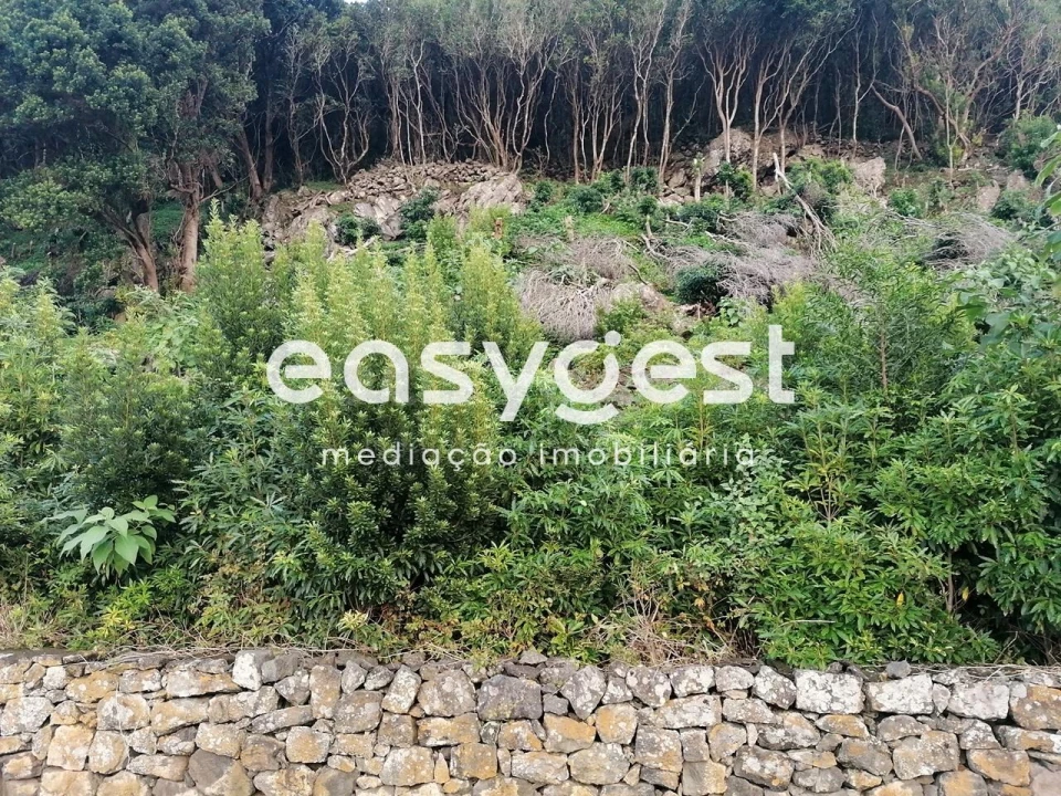 Terreno Agricola ou Rústico para Venda em Biscoitos Foto 8