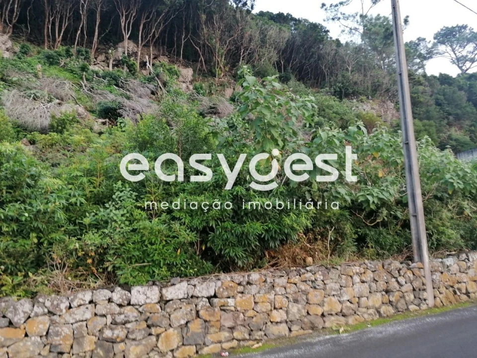 Terreno Agricola ou Rústico para Venda em Biscoitos Foto 10