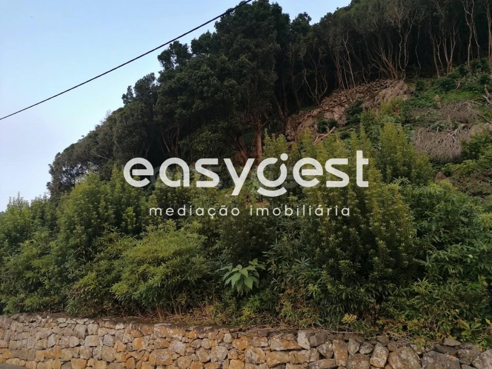 Terreno Agricola ou Rústico para Venda em Biscoitos Foto 16