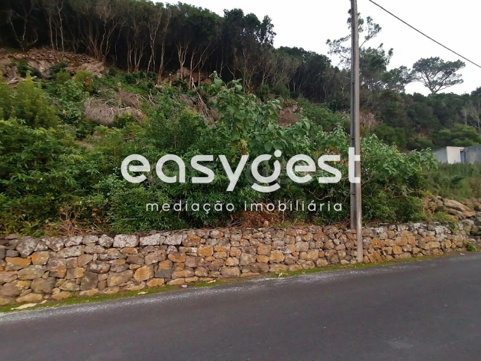Terreno Agricola ou Rústico para Venda em Biscoitos Foto 21