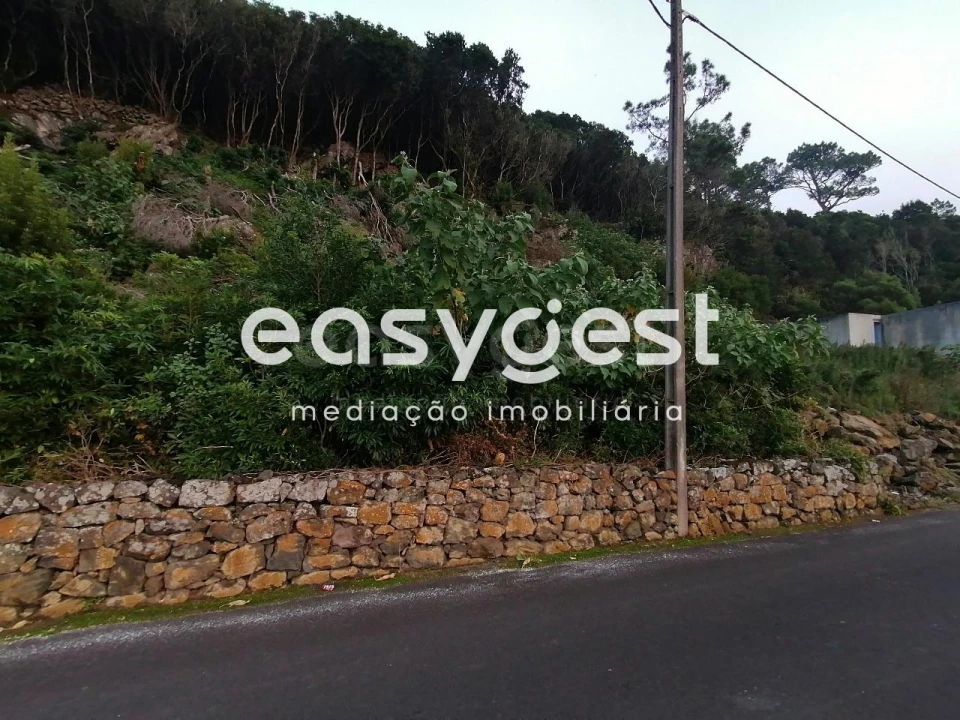 Terreno Agricola ou Rústico para Venda em Biscoitos Foto 24