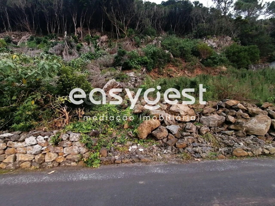 Terreno Agricola ou Rústico para Venda em Biscoitos Foto 25