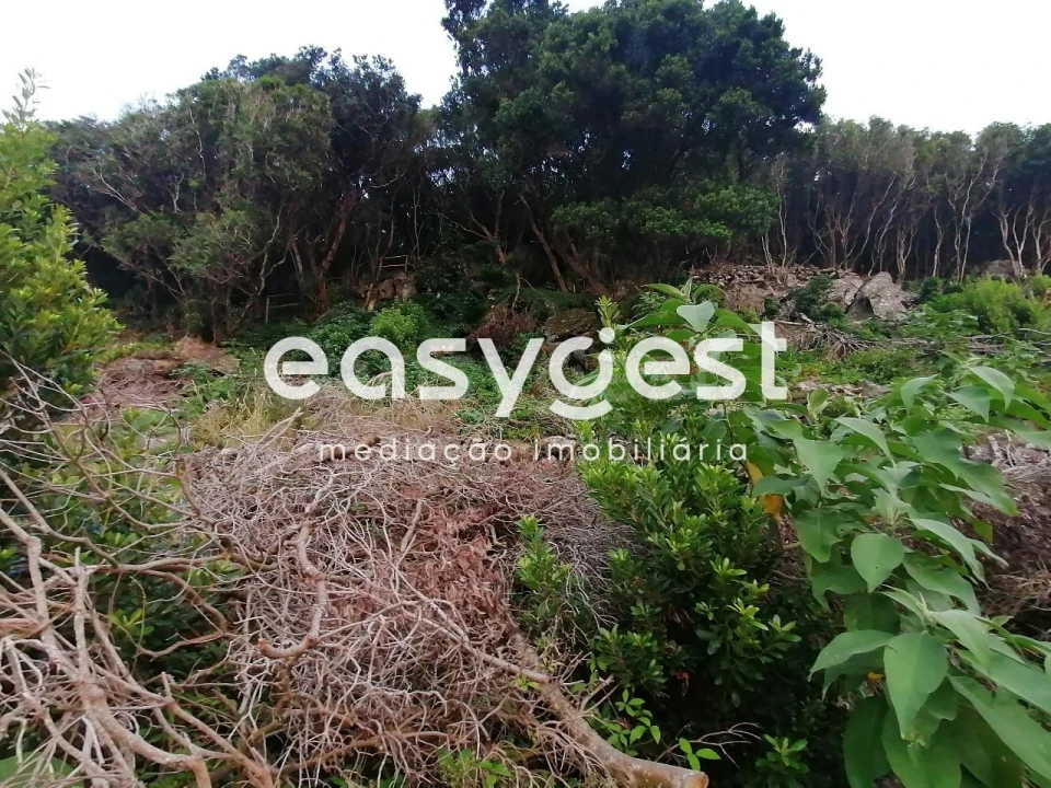 Terreno Agricola ou Rústico para Venda em Biscoitos Foto 30