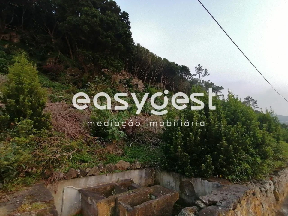 Terreno Agricola ou Rústico para Venda em Biscoitos Foto 36