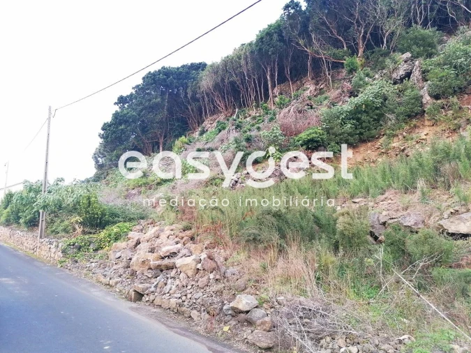 Terreno Agricola ou Rústico para Venda em Biscoitos Foto 3