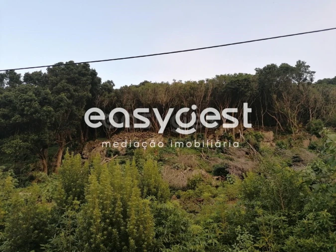 Terreno Agricola ou Rústico para Venda em Biscoitos Foto 11