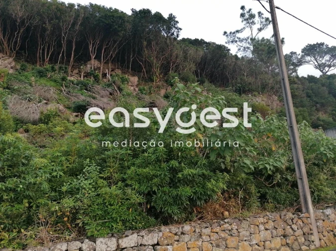 Terreno Agricola ou Rústico para Venda em Biscoitos Foto 15