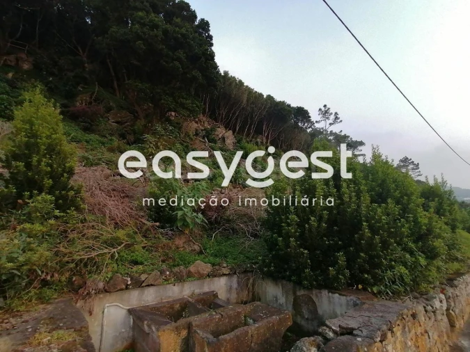 Terreno Agricola ou Rústico para Venda em Biscoitos Foto 36