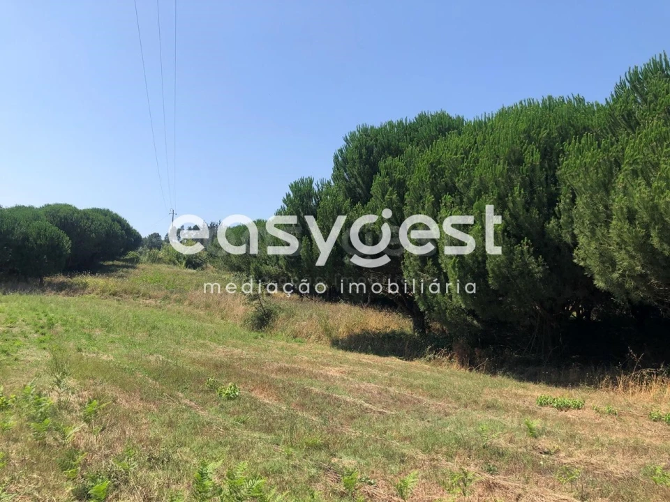 Terreno para Venda em Batalha Foto 4