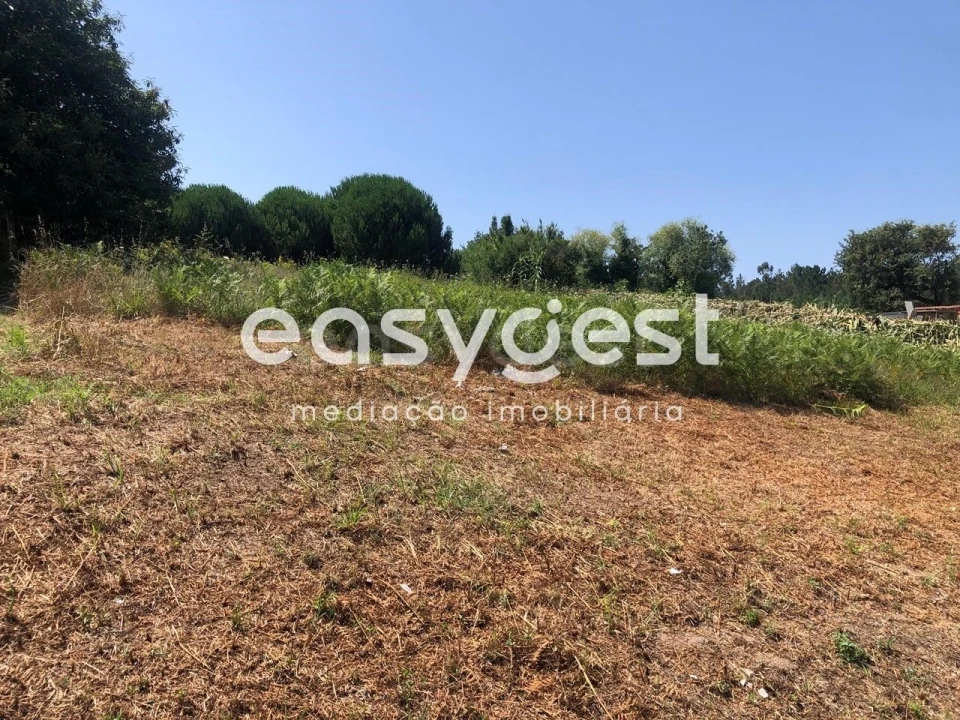 Terreno para Venda em Batalha Foto 10