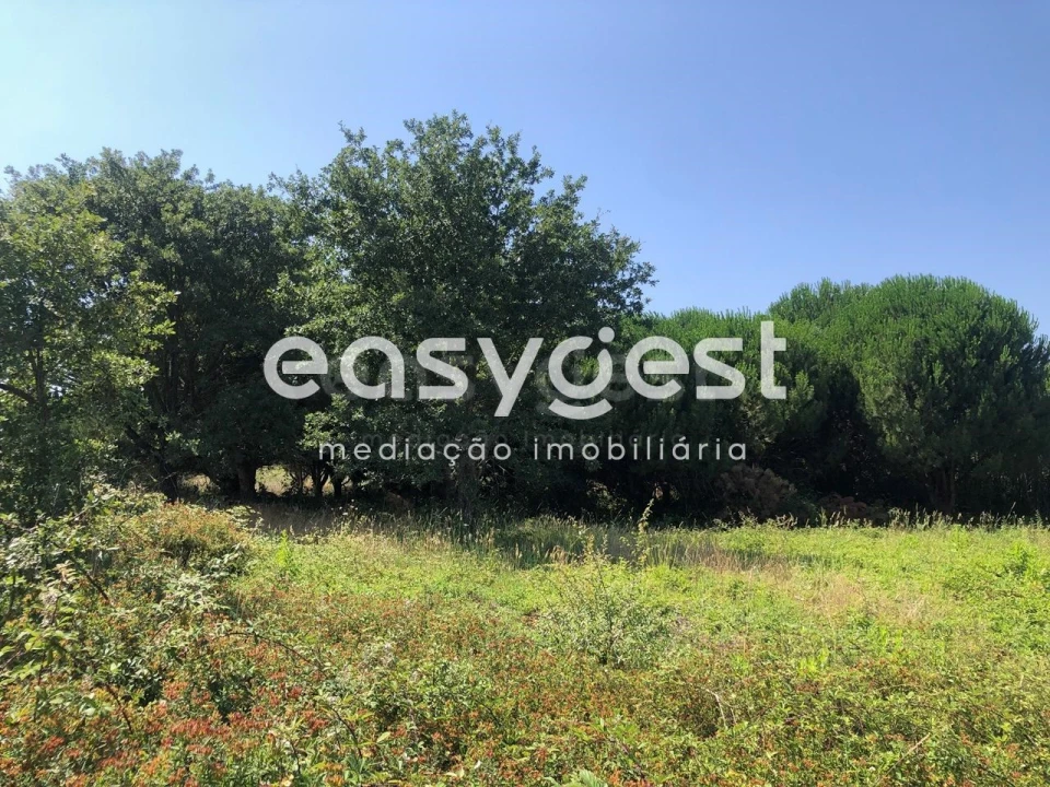Terreno para Venda em Batalha Foto 13