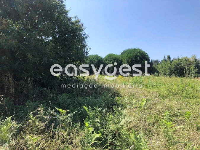Terreno para Venda em Batalha Foto 9