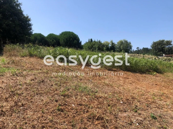 Terreno para Venda em Batalha Foto 10