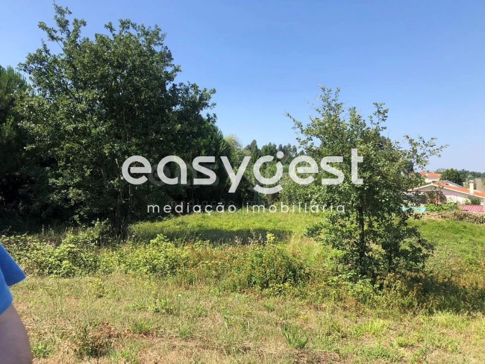 Terreno Agricola ou Rústico para Venda em Batalha Foto 3