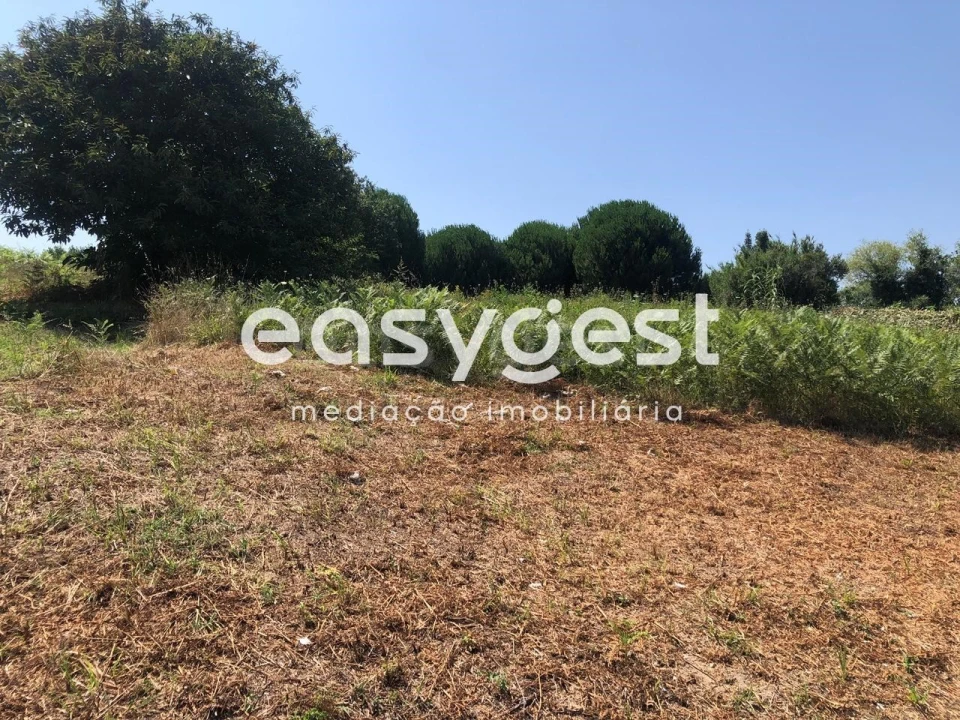 Terreno Agricola ou Rústico para Venda em Batalha Foto 6