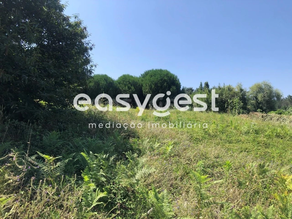 Terreno Agricola ou Rústico para Venda em Batalha Foto 10
