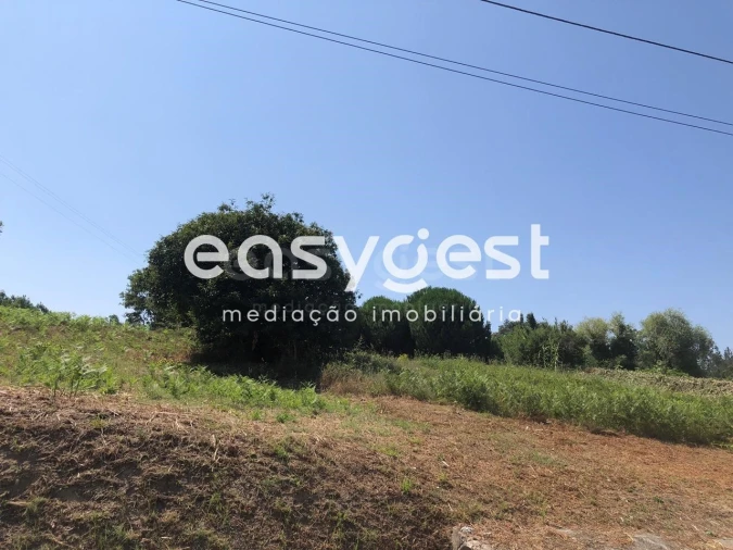 Terreno Agricola ou Rústico para Venda em Batalha Foto 4