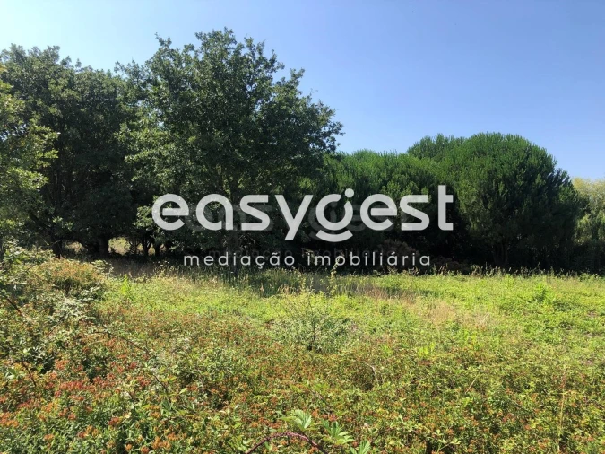 Terreno Agricola ou Rústico para Venda em Batalha Foto 7