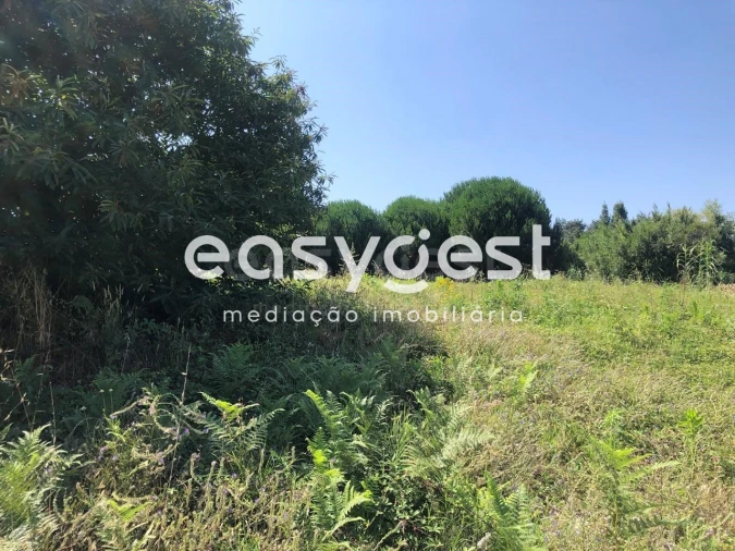 Terreno Agricola ou Rústico para Venda em Batalha Foto 8