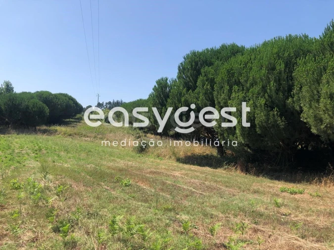 Terreno Agricola ou Rústico para Venda em Batalha Foto 11