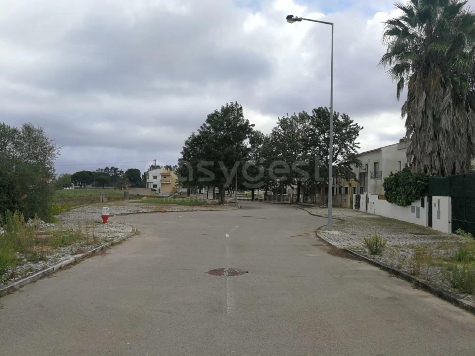 Terreno para Venda em Canha Foto 8