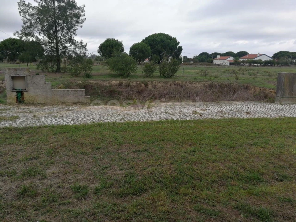 Terreno para Venda em Canha Foto 10