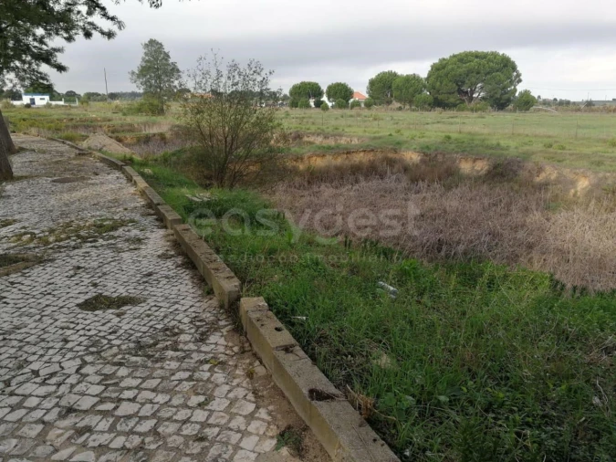 Terreno para Venda em Canha Foto 6