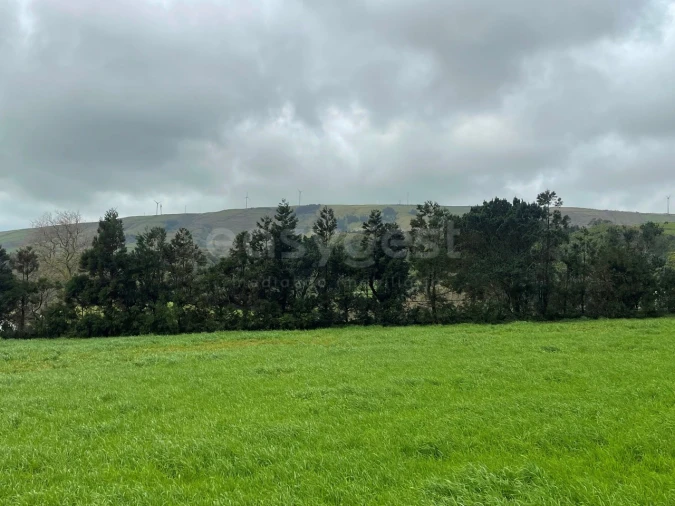 Terreno para Venda em Praia da Vitoria (Santa Cruz) Foto 10