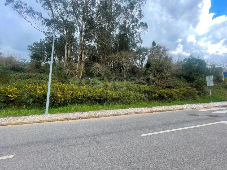 Terreno para Venda em Almargem do Bispo, Pêro Pinheiro e Montelavar Foto 7
