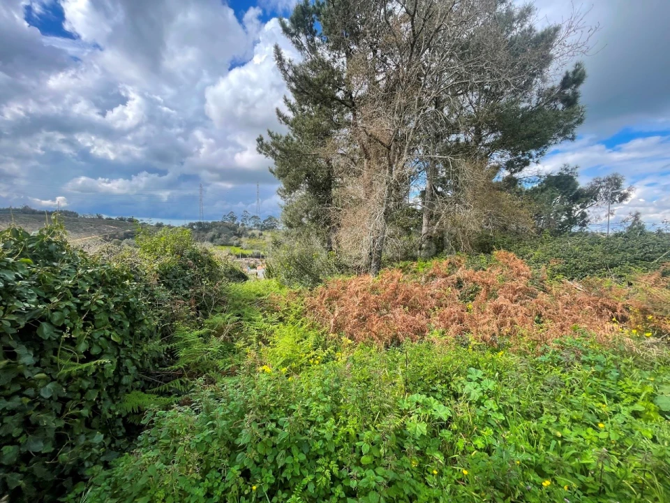 Terreno para Venda em Almargem do Bispo, Pêro Pinheiro e Montelavar Foto 12