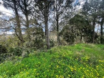 Terreno para Venda em Almargem do Bispo, Pêro Pinheiro e Montelavar
