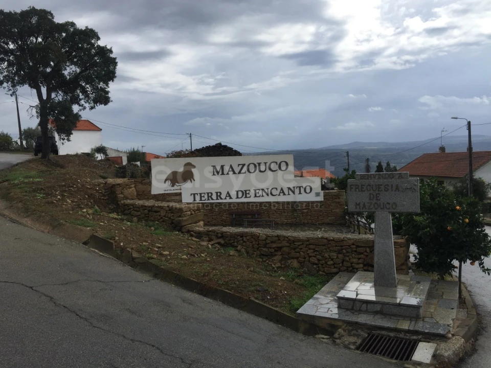 Terreno Agricola ou Rústico para Venda em Freixo de Espada a Cinta e Mazouco Foto 1