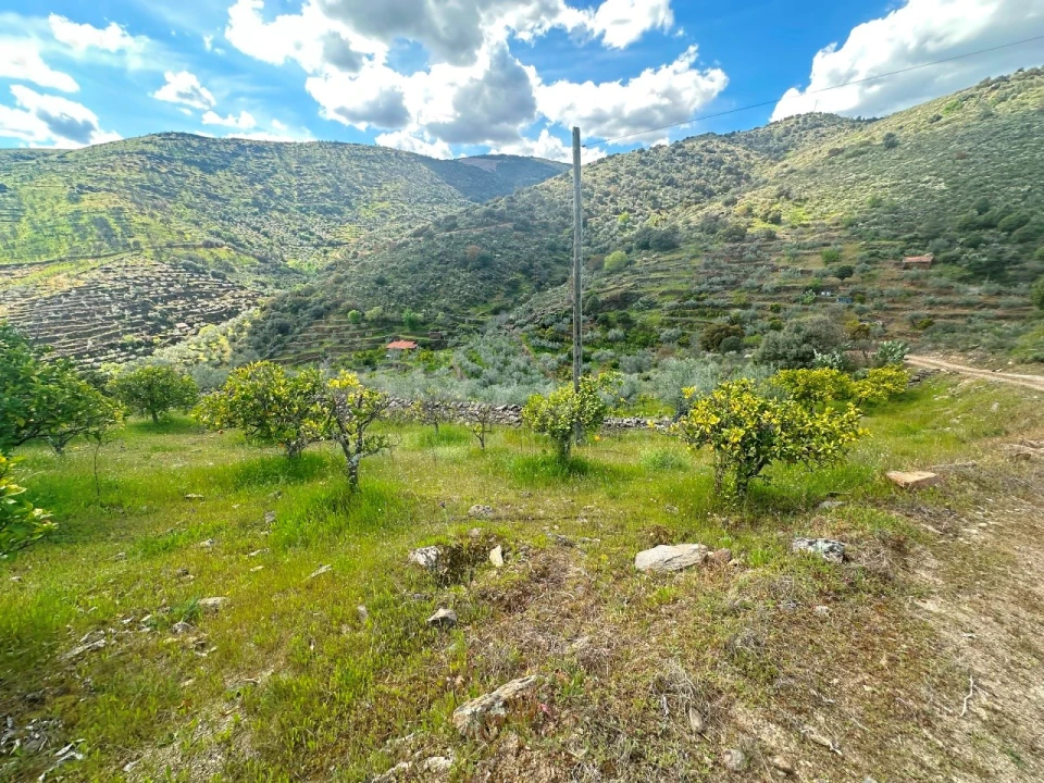 Terreno Agricola ou Rústico para Venda em Freixo de Espada a Cinta e Mazouco Foto 7