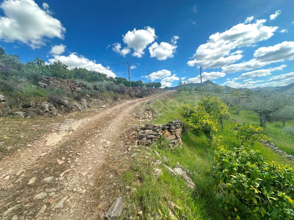 Terreno Agricola ou Rústico para Venda em Freixo de Espada a Cinta e Mazouco Foto 8
