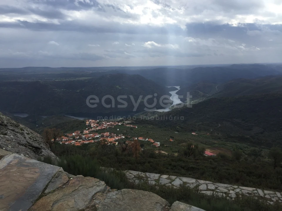 Terreno Agricola ou Rústico para Venda em Freixo de Espada a Cinta e Mazouco Foto 14