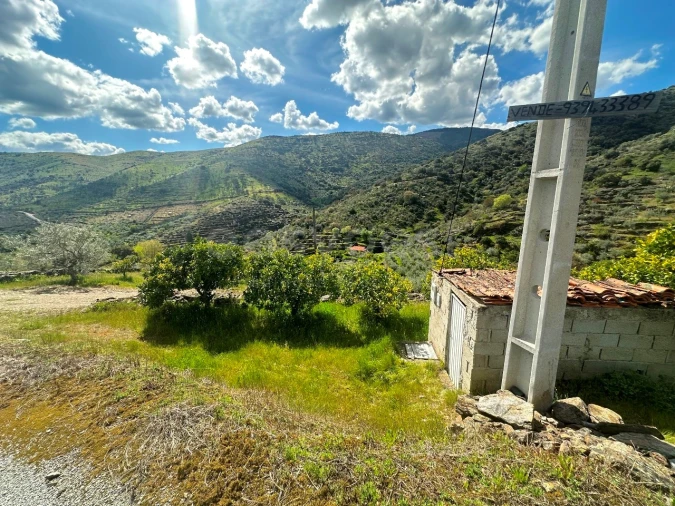 Terreno Agricola ou Rústico para Venda em Freixo de Espada a Cinta e Mazouco Foto 3