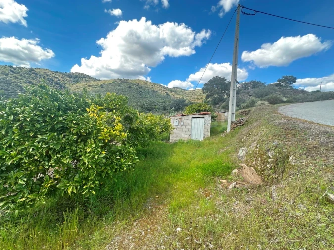 Terreno Agricola ou Rústico para Venda em Freixo de Espada a Cinta e Mazouco Foto 4