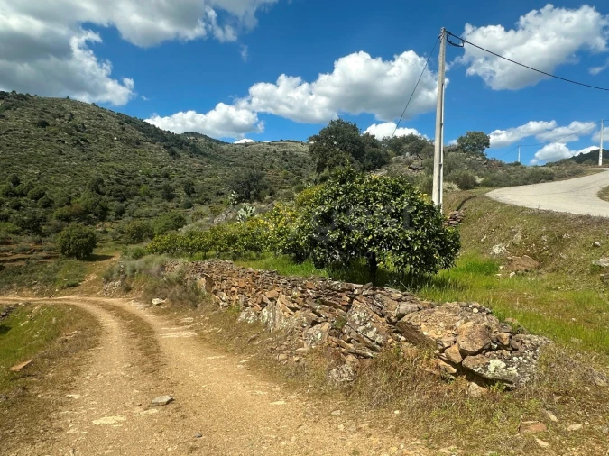Terreno Agricola ou Rústico para Venda em Freixo de Espada a Cinta e Mazouco Foto 5