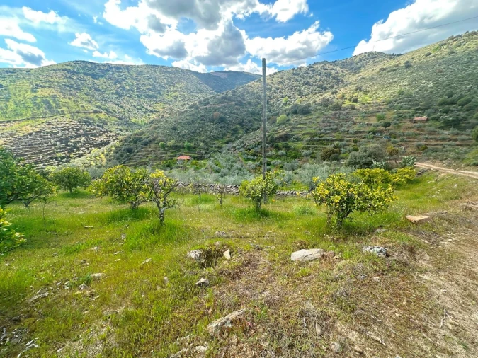 Terreno Agricola ou Rústico para Venda em Freixo de Espada a Cinta e Mazouco Foto 7