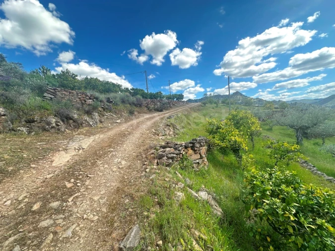 Terreno Agricola ou Rústico para Venda em Freixo de Espada a Cinta e Mazouco Foto 8
