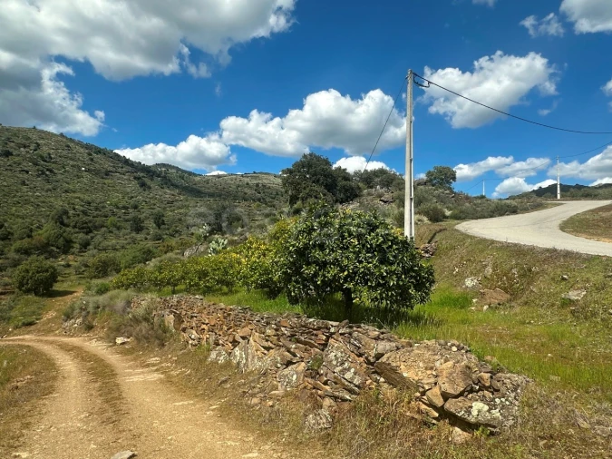 Terreno Agricola ou Rústico para Venda em Freixo de Espada a Cinta e Mazouco Foto 12