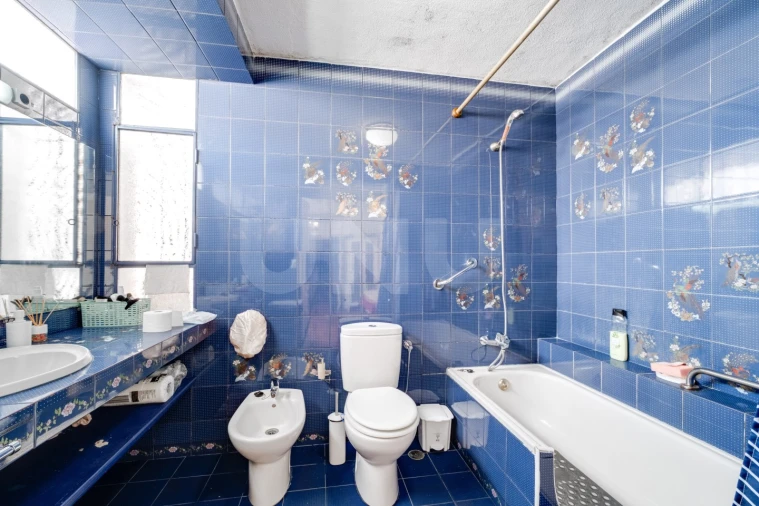 Moradia T6 para Venda em Évora (São Mamede, Sé, São Pedro e Santo Antão) Foto 9