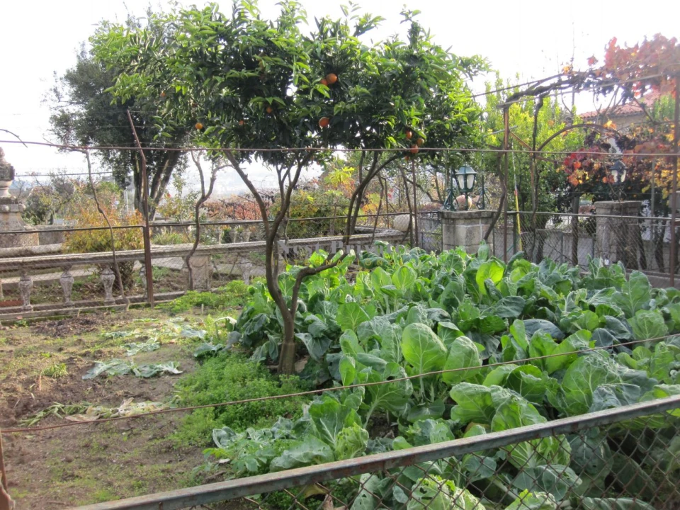 Moradia T5 para Venda em Abraveses Foto 50