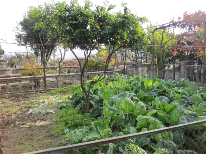 Moradia T5 para Venda em Abraveses Foto 50