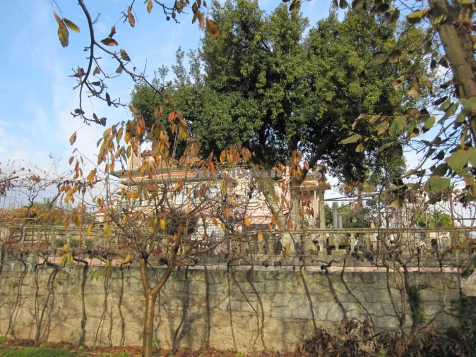 Moradia T5 para Venda em Abraveses Foto 46