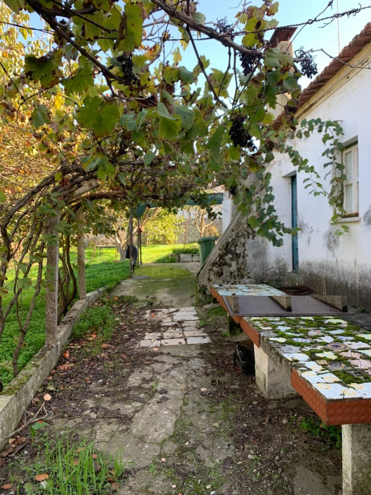 Moradia T4 para Venda em Barrosa Foto 10