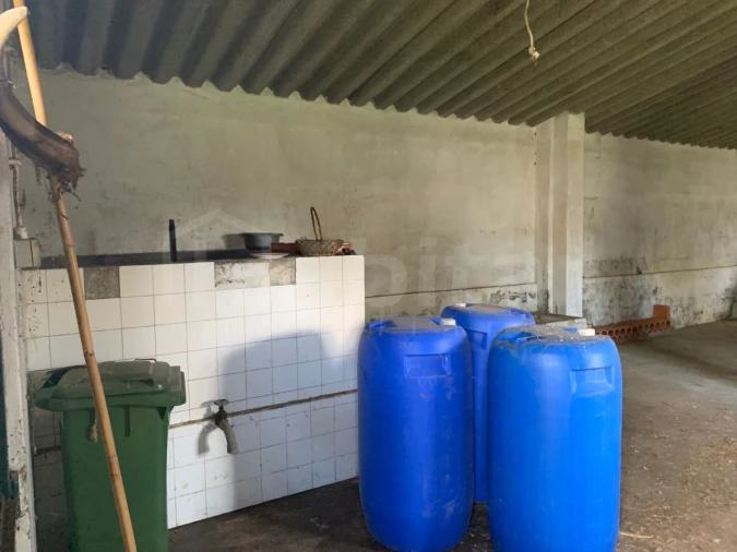 Moradia T4 para Venda em Barrosa Foto 7