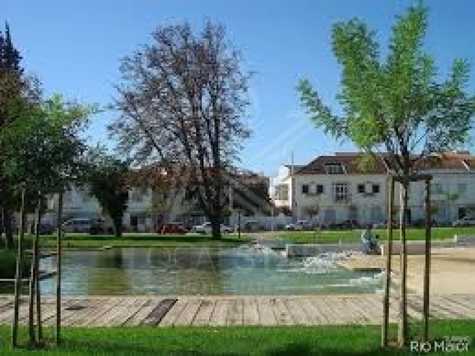Terreno para Venda em Tornada e Salir do Porto Foto 55