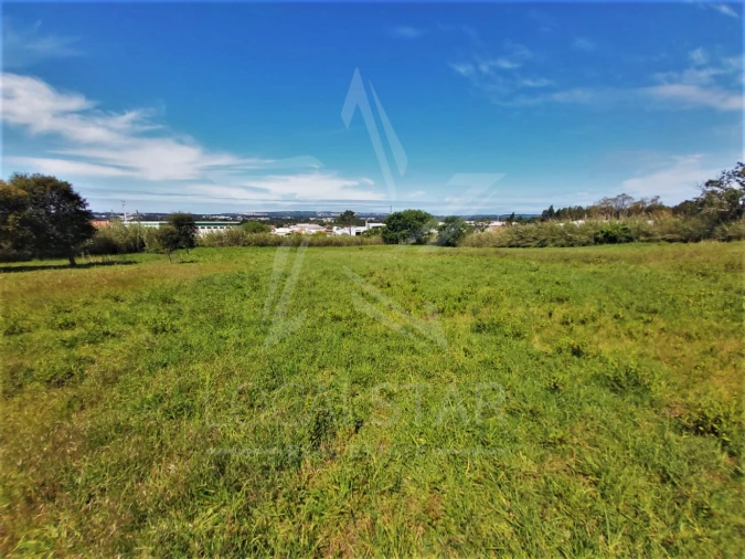 Terreno para Venda em Tornada e Salir do Porto Foto 6