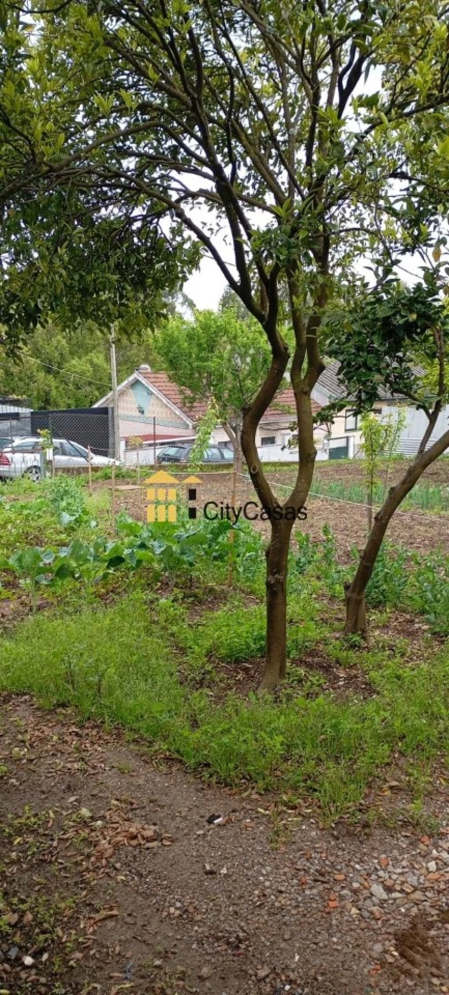 Armazém para Venda em Gondomar (São Cosme), Valbom e Jovim Foto 3